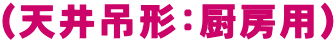 (天井吊形:厨房用)